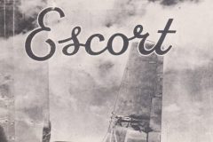 escort-1-scaled