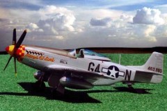P-51D "Mary's Lil Lamb" model made by Richard Gonzales