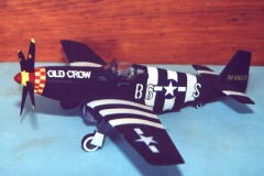 laketahoeoldcrow