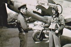 Flying-Panther