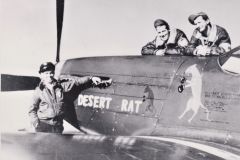 Merle-104-Desert-Rat