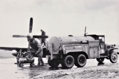 Merle-108