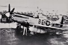 Merle-5a-Texan
