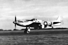 winged-ace-scaled