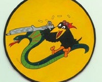 364th Fighter Squadron