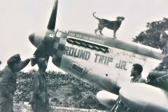 Round-Trip-Jr-dog-2