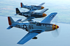 Beautiful Paul Bowen photo Three Mustangs!