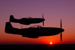 Earl Smith photo of Bud Flying Old Crow at sunset.