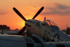 P-51 "Old Crow" Photo by Alicia Wall