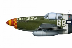 Clarence_Bud_Anderson_363rdFS_357thFG_P-51B_RAFGreen