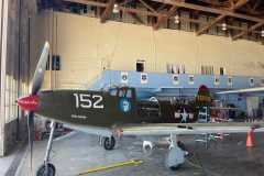 p39q1