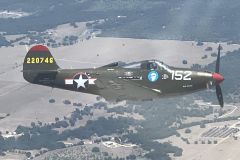 p39q6