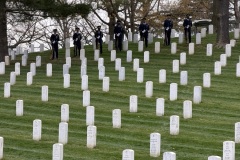 Arlington