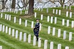 Arlington