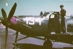 p-39-color