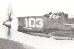 p39-001