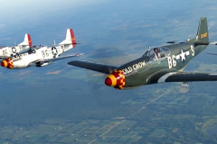 P-51D Formation