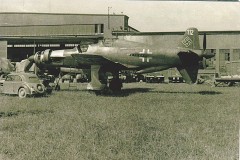 Newone19