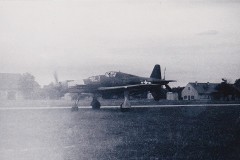 Newone36