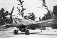 p-41-Old-Crow