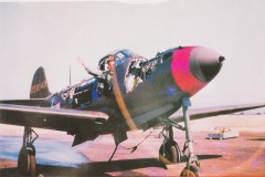 ResizerImage2226X1402