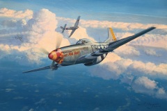 P-51D_Hurry_Home
